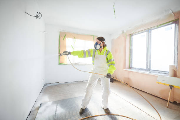 Professional Mold Removal in Pottsboro, TX