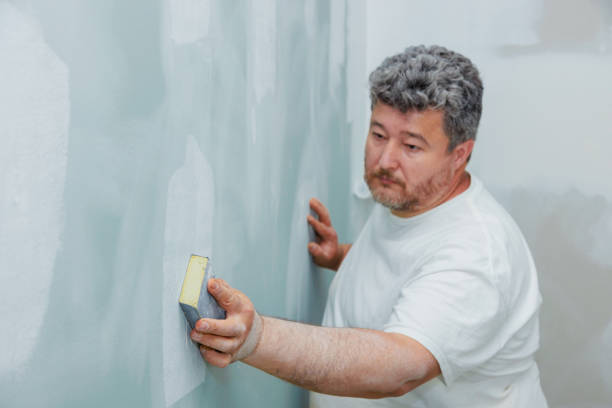 Best Mold Removal for HVAC Installations  in Pottsboro, TX
