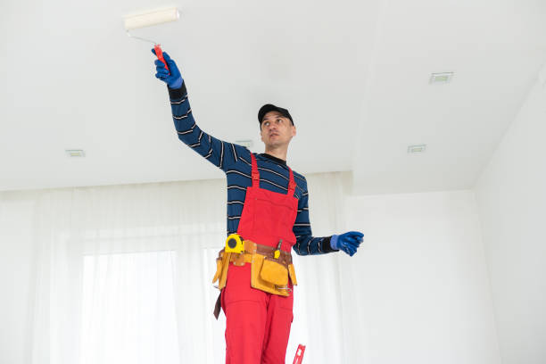 Best Black Mold Removal  in Pottsboro, TX