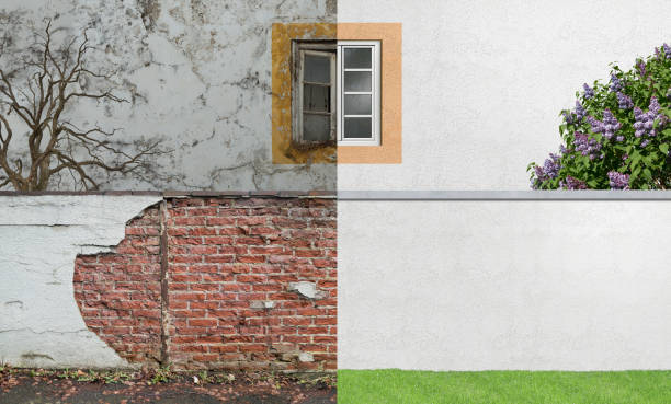 Best Mold Documentation for Insurance Claims  in Pottsboro, TX